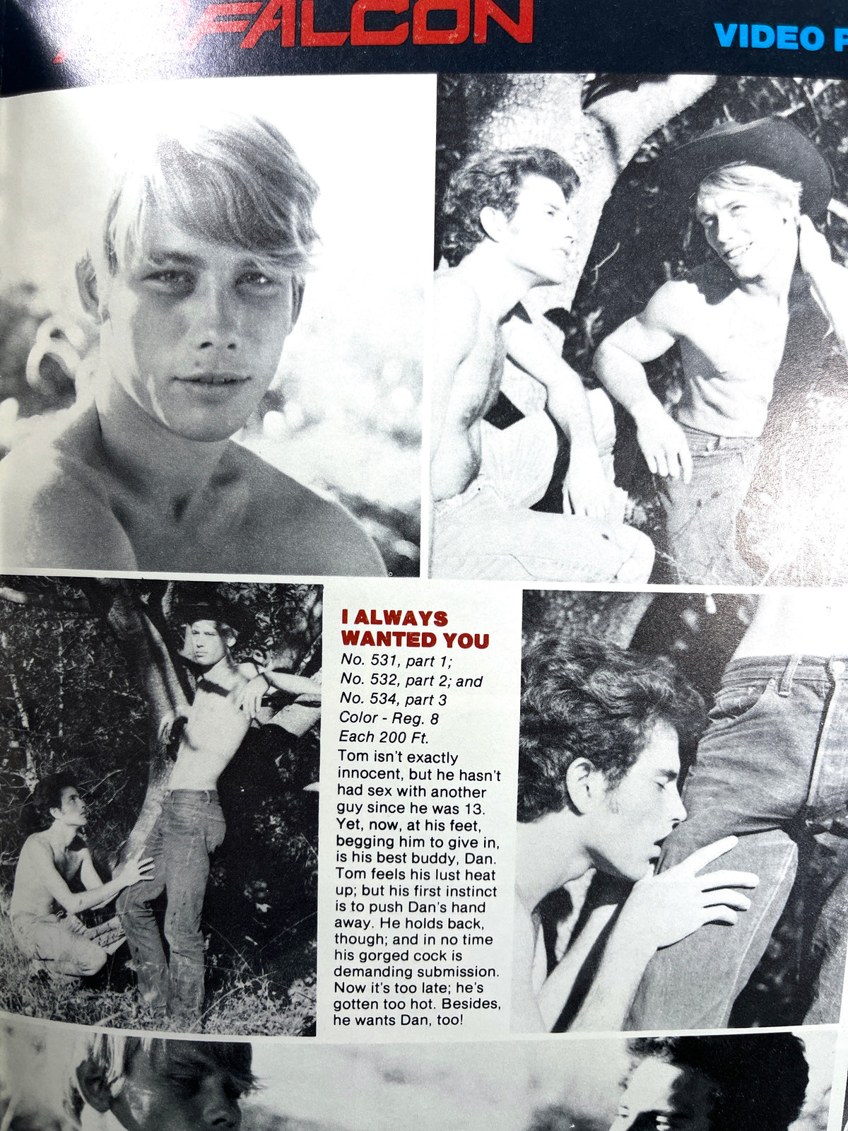 Falcon Studios Magazines, 1977-1982, Lot of 7, Very Good SCs, RARE Gay interest