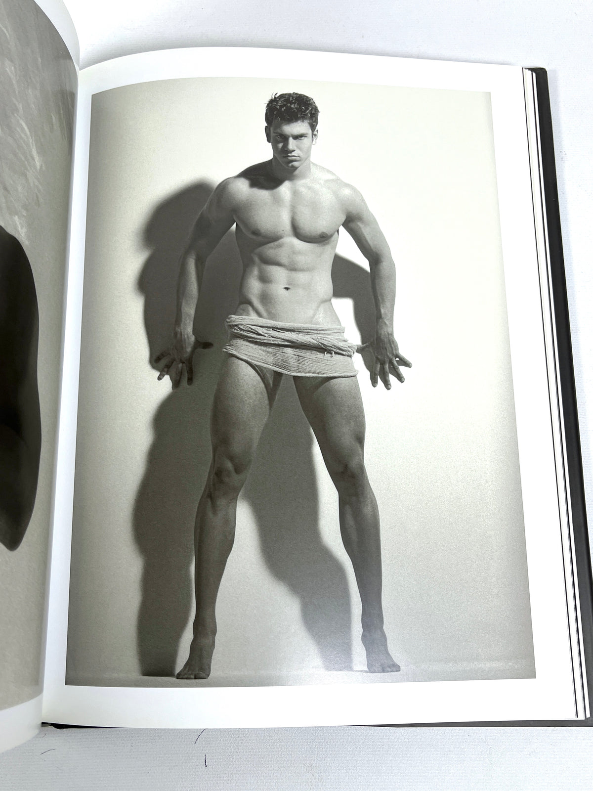 David Vance, Timeless, Bruno Gmunder, 2006, Very Good hardcover w/dust jacket