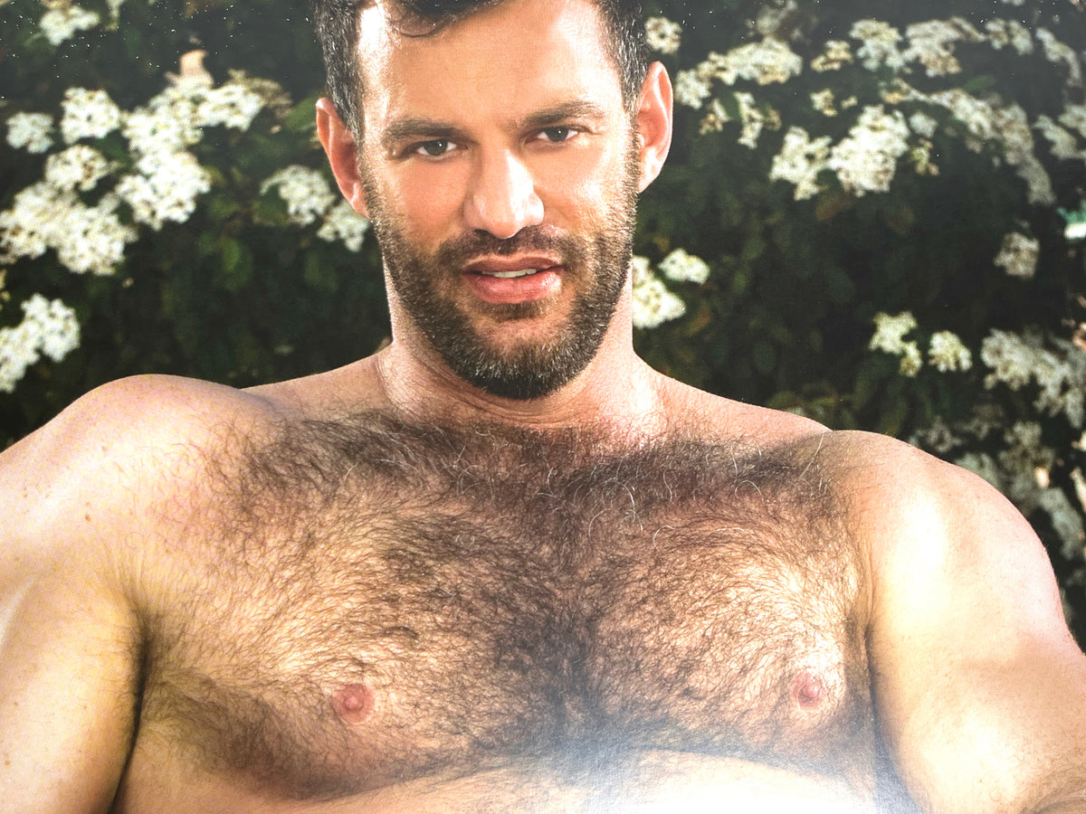 COLT: Hairy Chested Men, Bruno Gmunder, 2014, Near Fine hardcover w/dust jacket