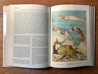 David Nichols et al., The Oxford Book of Invertebrates, 1971, HC, Good, First Edition