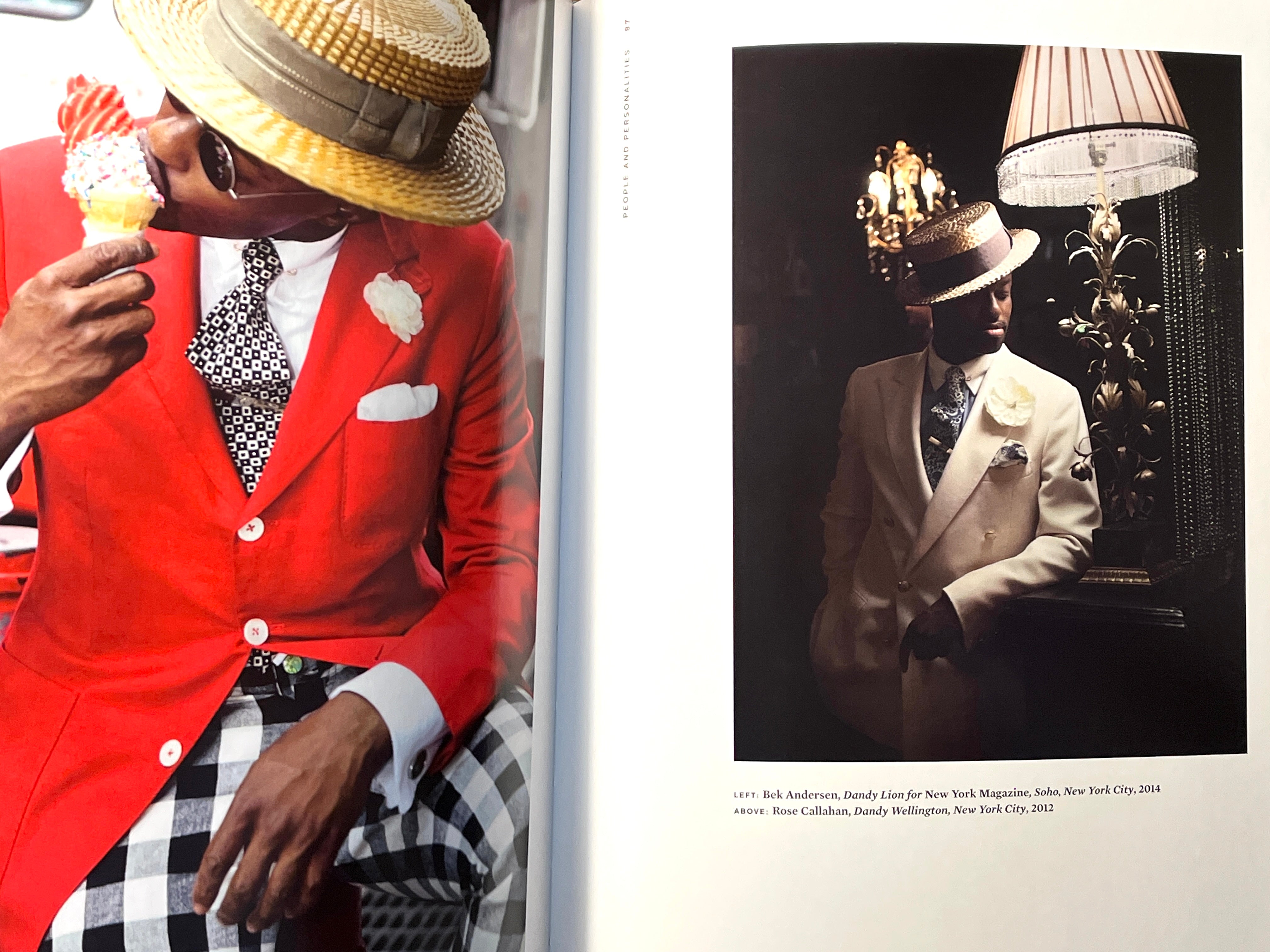 Dandy Lion: The Black Dandy and Street Style, Shantrelle P. Lewis