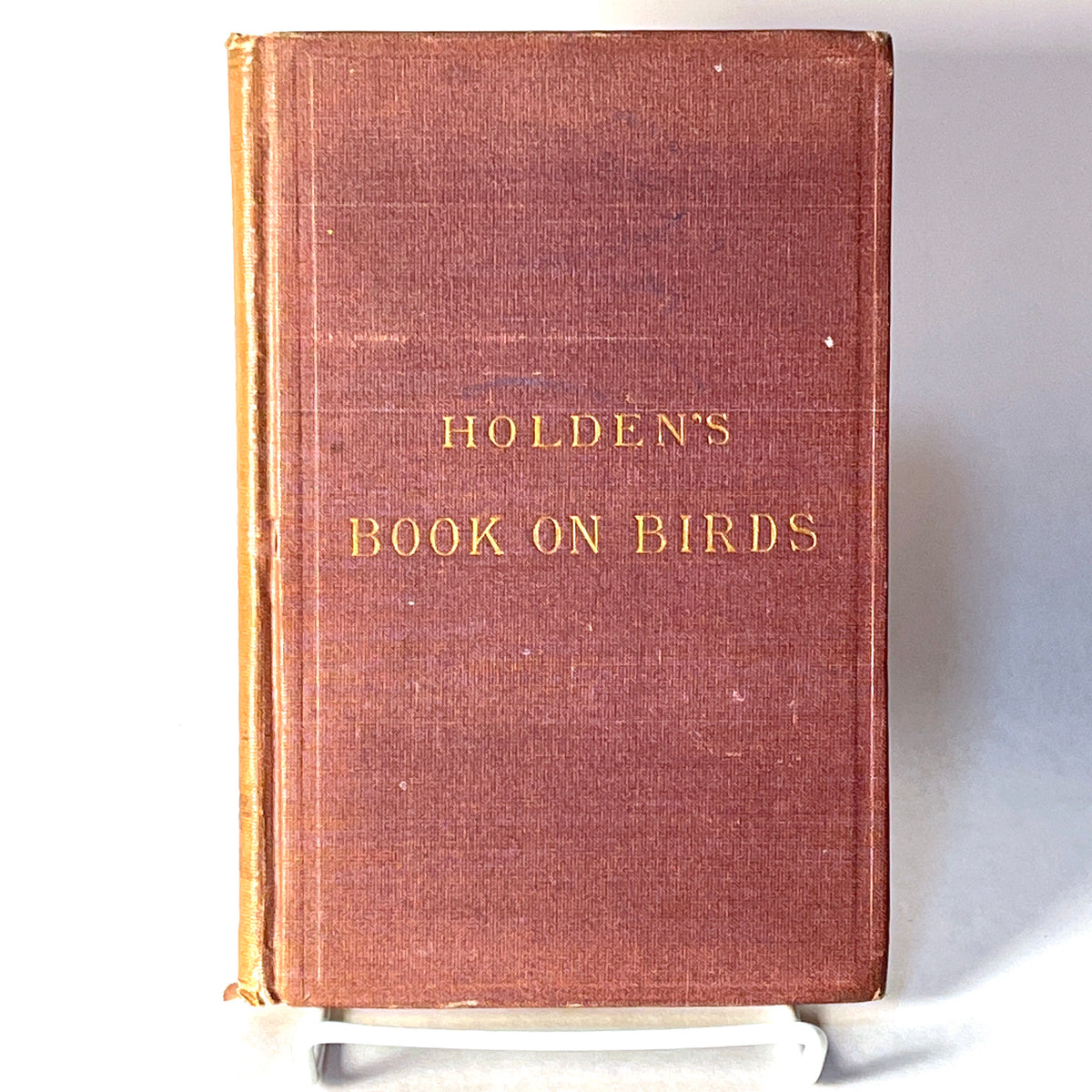 Holden's Book on Birds, 1875, antiquarian, HC, VG.