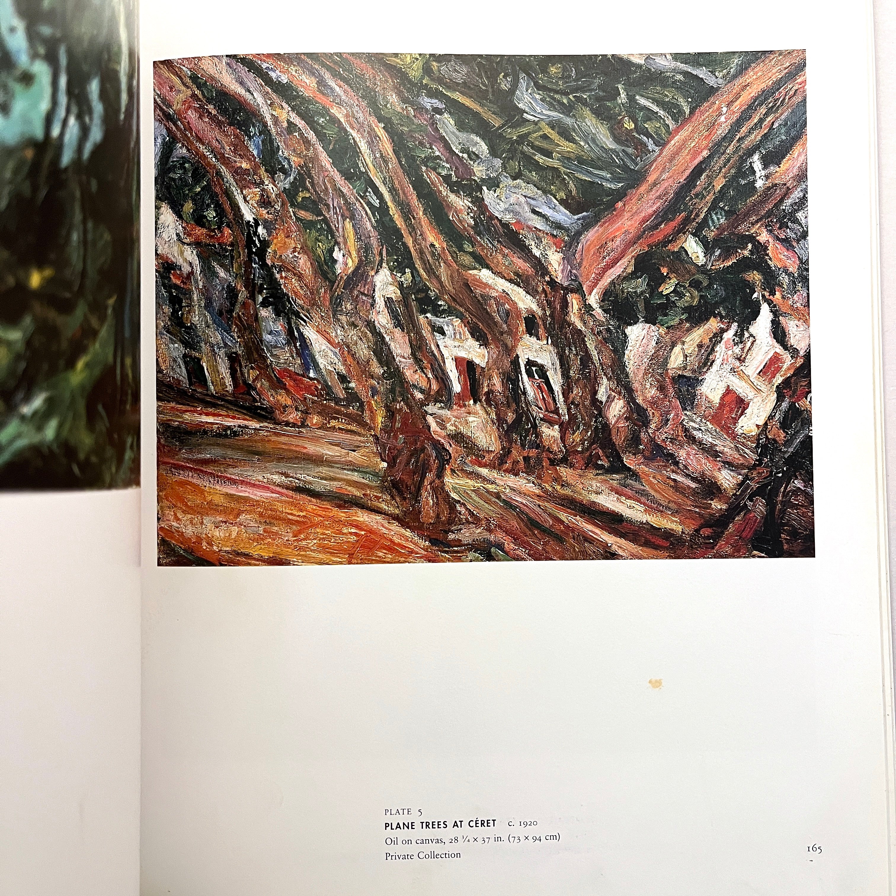 An Expressionist in Paris: The Paintings of Chaim Soutine