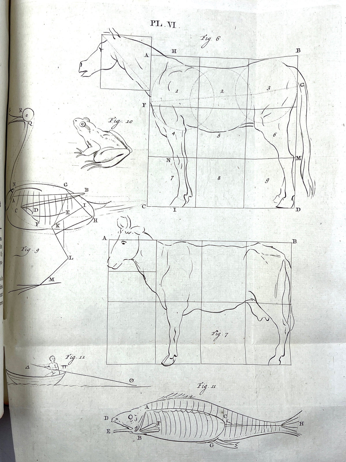 Pierre (Petrus) Camper, Dissertation Physique Discours Prononces, 1792, Good + leatherbound