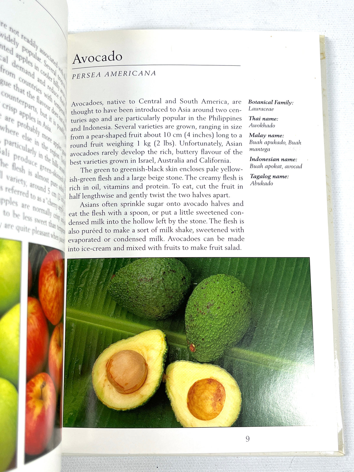 Tropical Fruits of Indonesia, Periplus Nature Guides, 1996, Near Fine hardcover