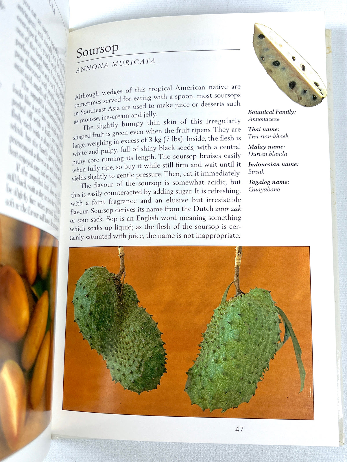 Tropical Fruits of Indonesia, Periplus Nature Guides, 1996, Near Fine hardcover