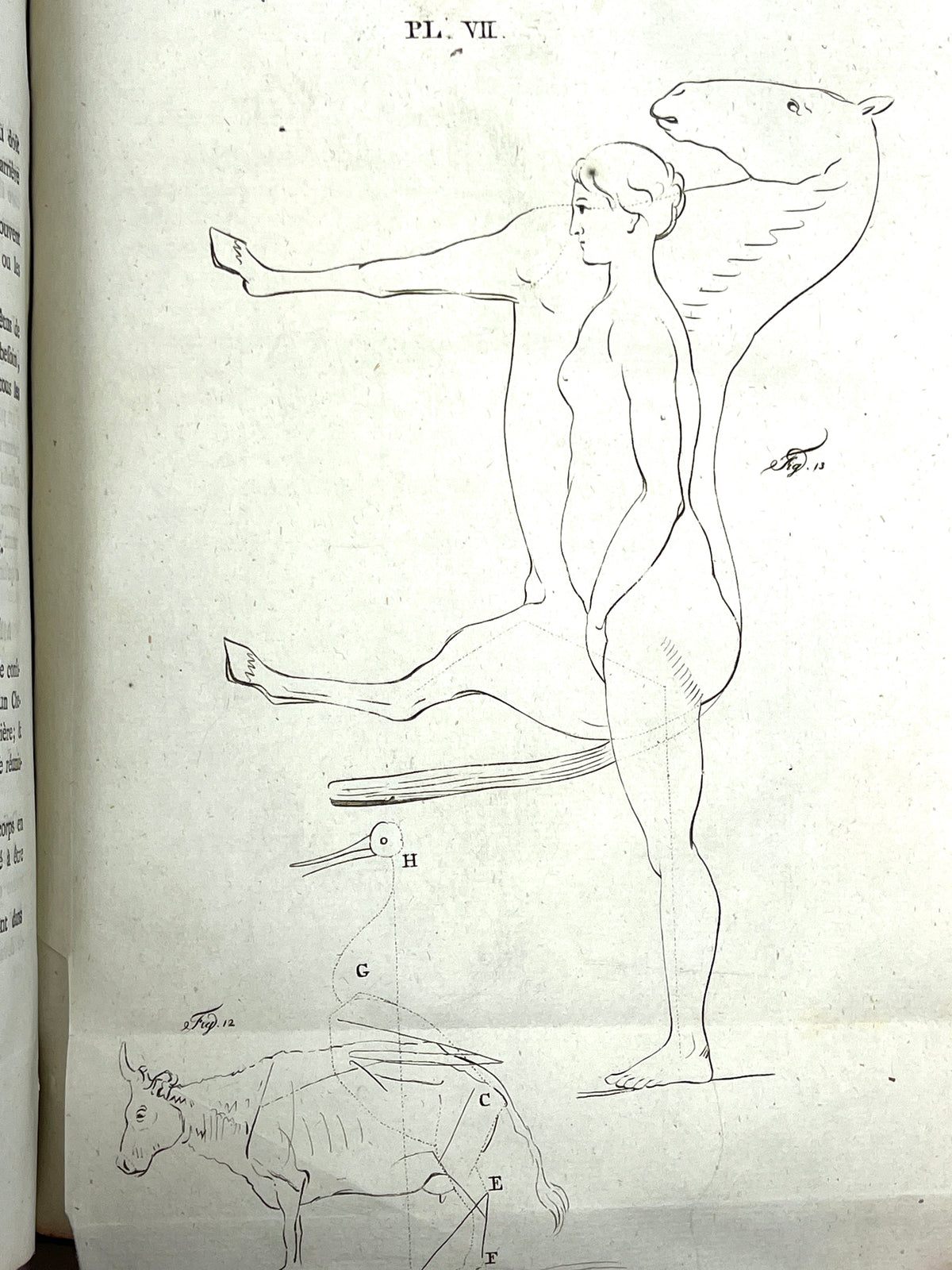 Pierre (Petrus) Camper, Dissertation Physique Discours Prononces, 1792, Good + leatherbound