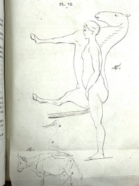 Pierre (Petrus) Camper, Dissertation Physique Discours Prononces, 1792, Good + leatherbound