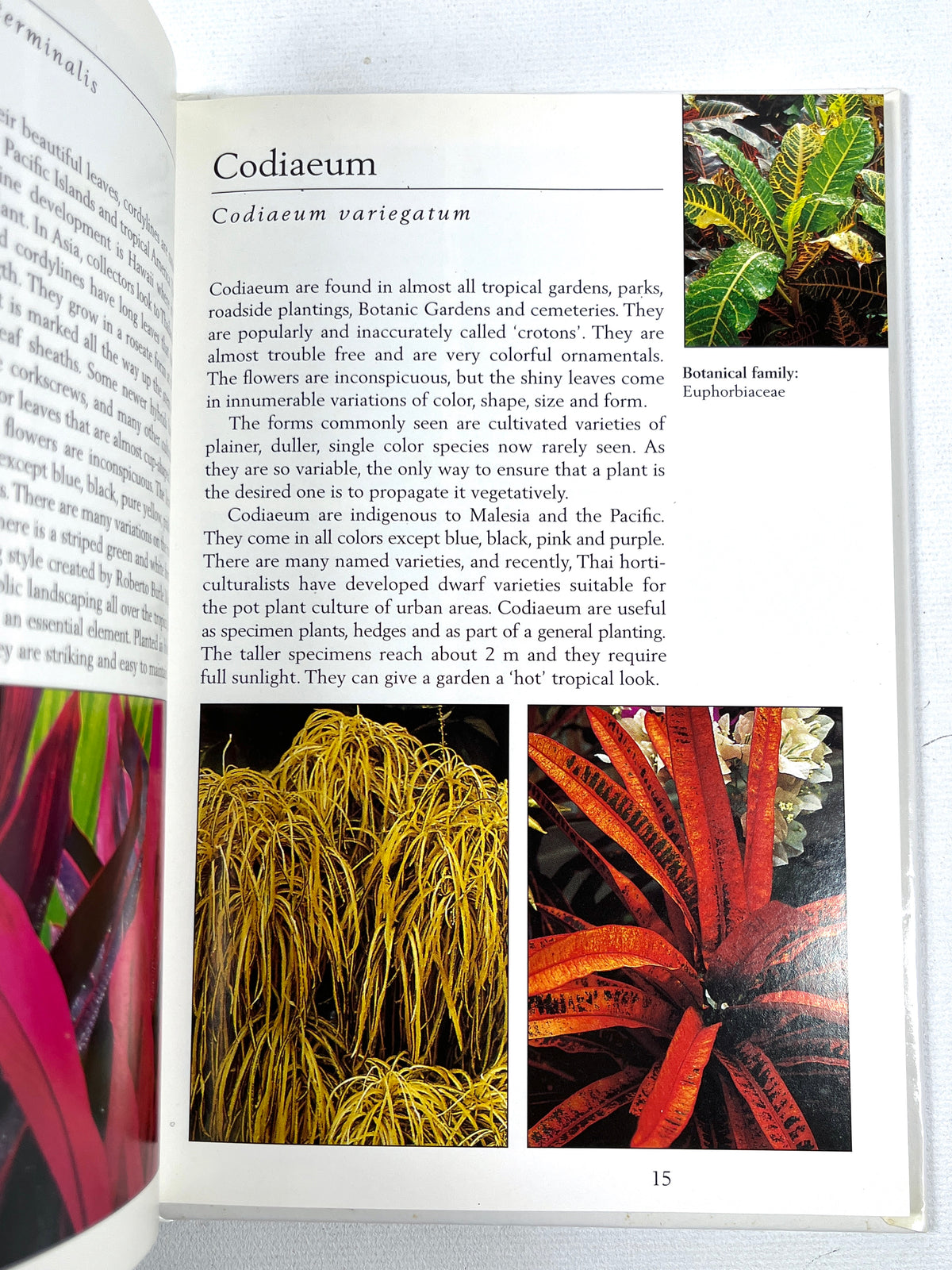 Tropical Plants of Indonesia, Periplus Nature Guides, Periplus Editions, 1998, Near Fine HC