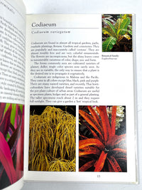 Tropical Plants of Indonesia, Periplus Nature Guides, Periplus Editions, 1998, Near Fine HC