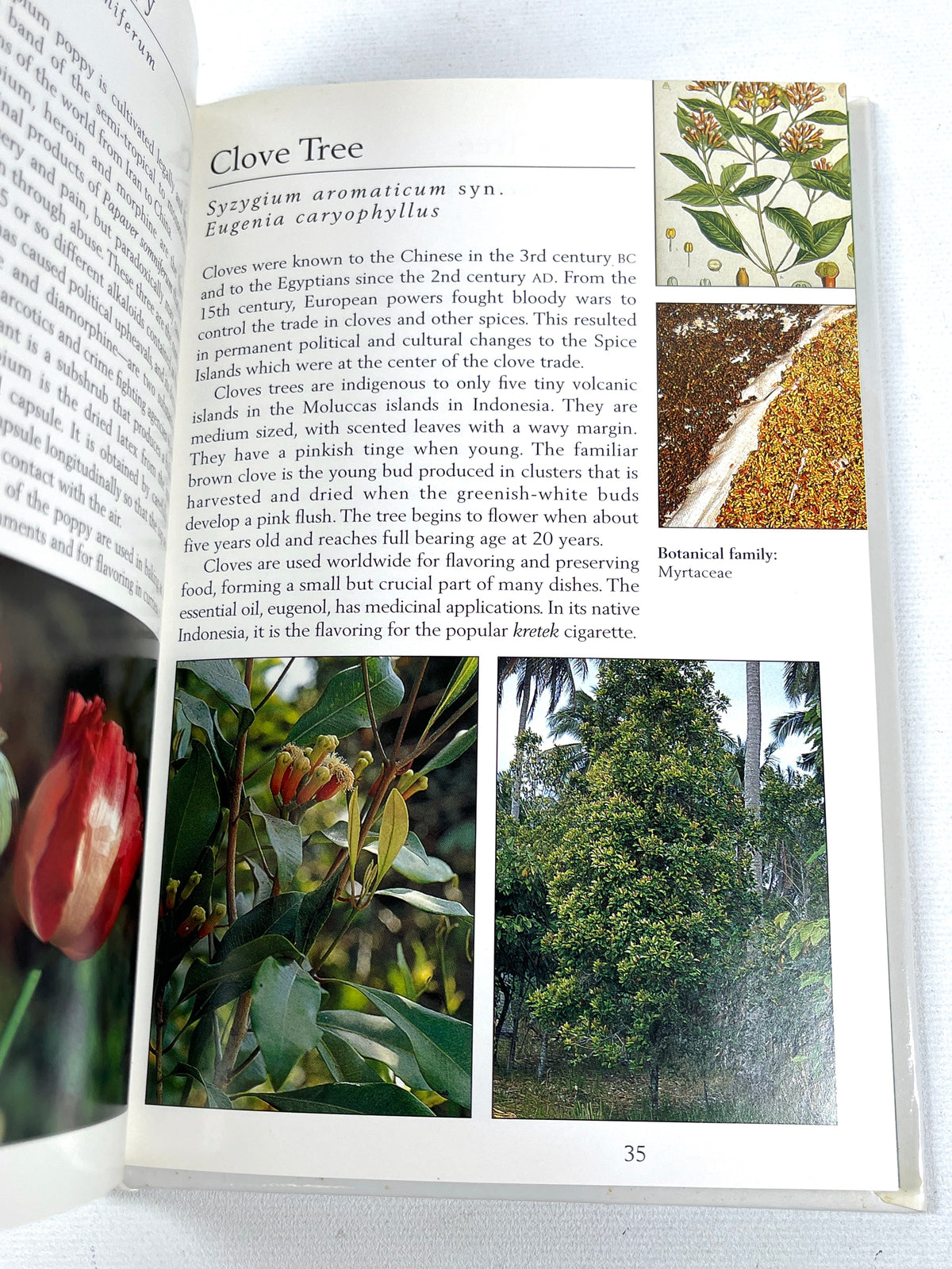 Tropical Plants of Indonesia, Periplus Nature Guides, Periplus Editions, 1998, Near Fine HC