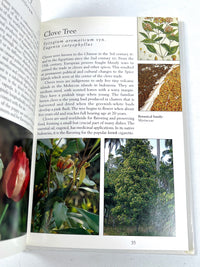 Tropical Plants of Indonesia, Periplus Nature Guides, Periplus Editions, 1998, Near Fine HC
