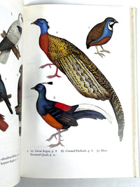 The Birds of Sumatra and Kalimantan, Images of Asia, 1990, Very Good hardcover