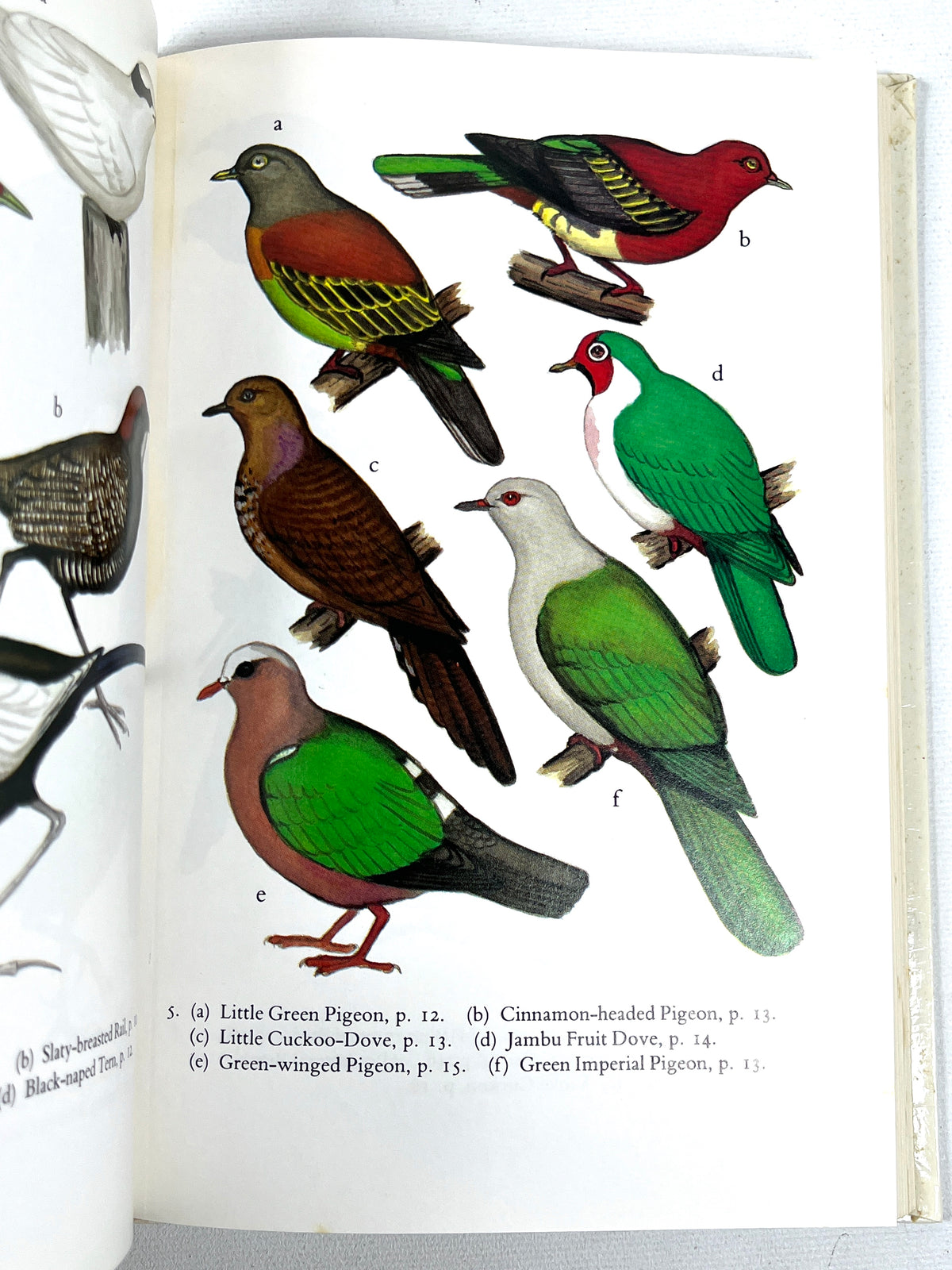 The Birds of Sumatra and Kalimantan, Images of Asia, 1990, Very Good hardcover