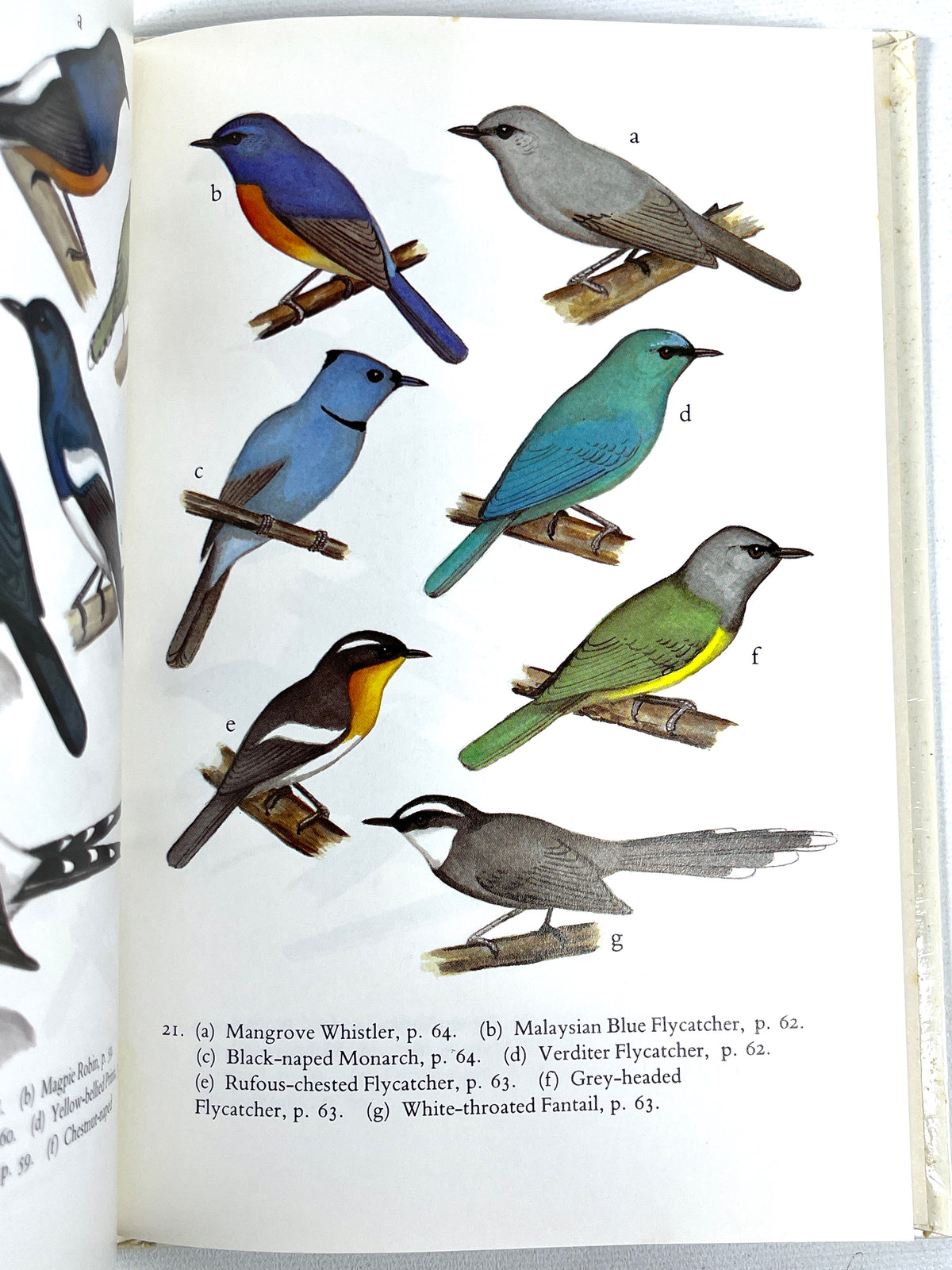 The Birds of Sumatra and Kalimantan, Images of Asia, 1990, Very Good hardcover