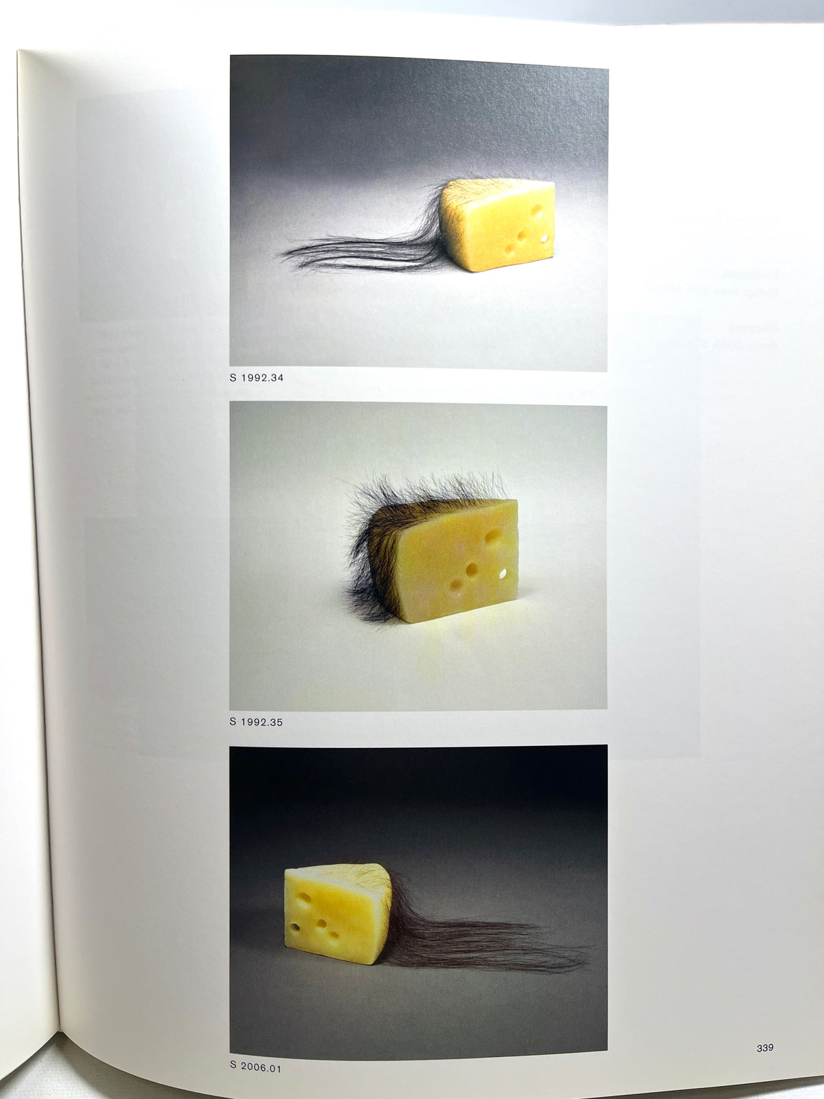 Robert Gober: Sculptures and Installations 1979-2007, 1st Ed, 2007, Near Fine HC w/DJ