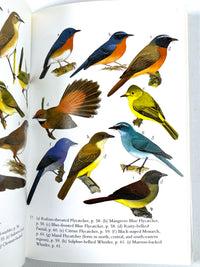 The Birds of Sulawesi, Images of Asia, Oxford University Press, 1996, Near Fine hardcover