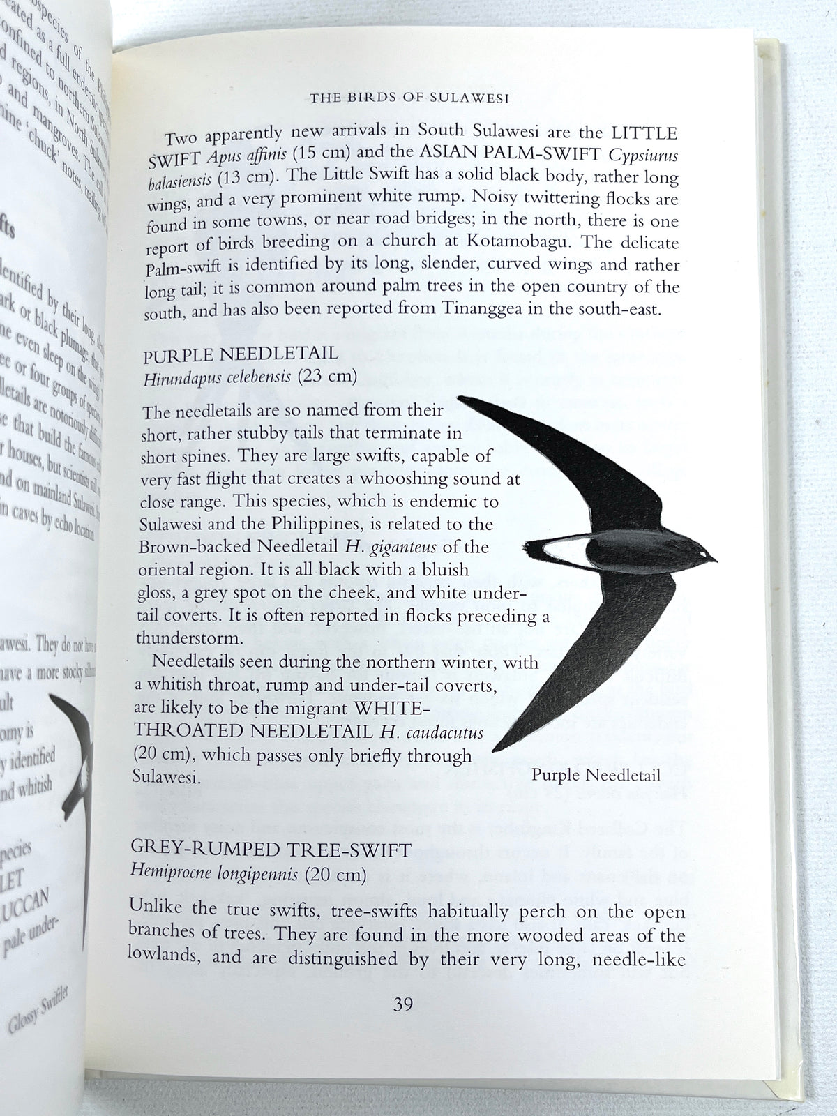 The Birds of Sulawesi, Images of Asia, Oxford University Press, 1996, Near Fine hardcover