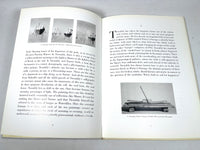 Cy Twombly: Coronation of Sesostris, Gagosian Gallery, 2000, Near Fine hardcover