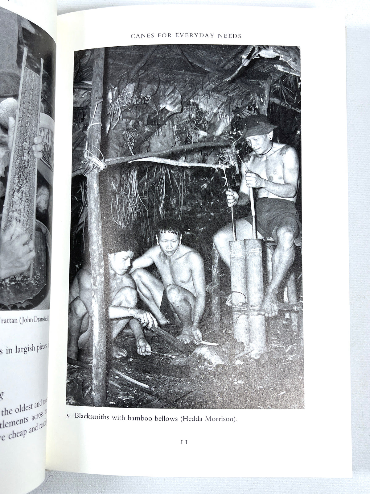 Bamboo and Rattan: Traditional Uses and Beliefs, Images of Asia, 1992, Very Good hardcover