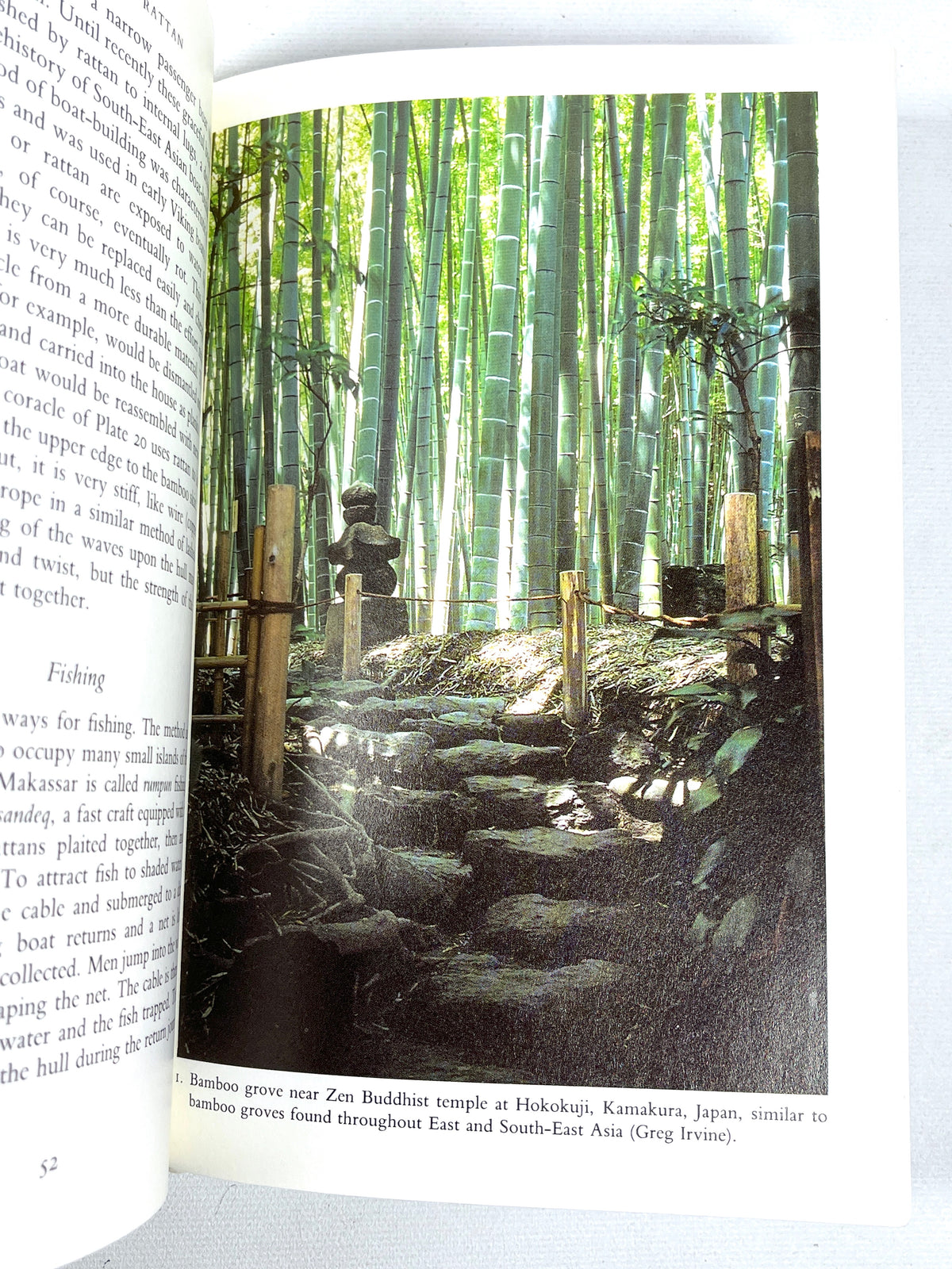 Bamboo and Rattan: Traditional Uses and Beliefs, Images of Asia, 1992, Very Good hardcover