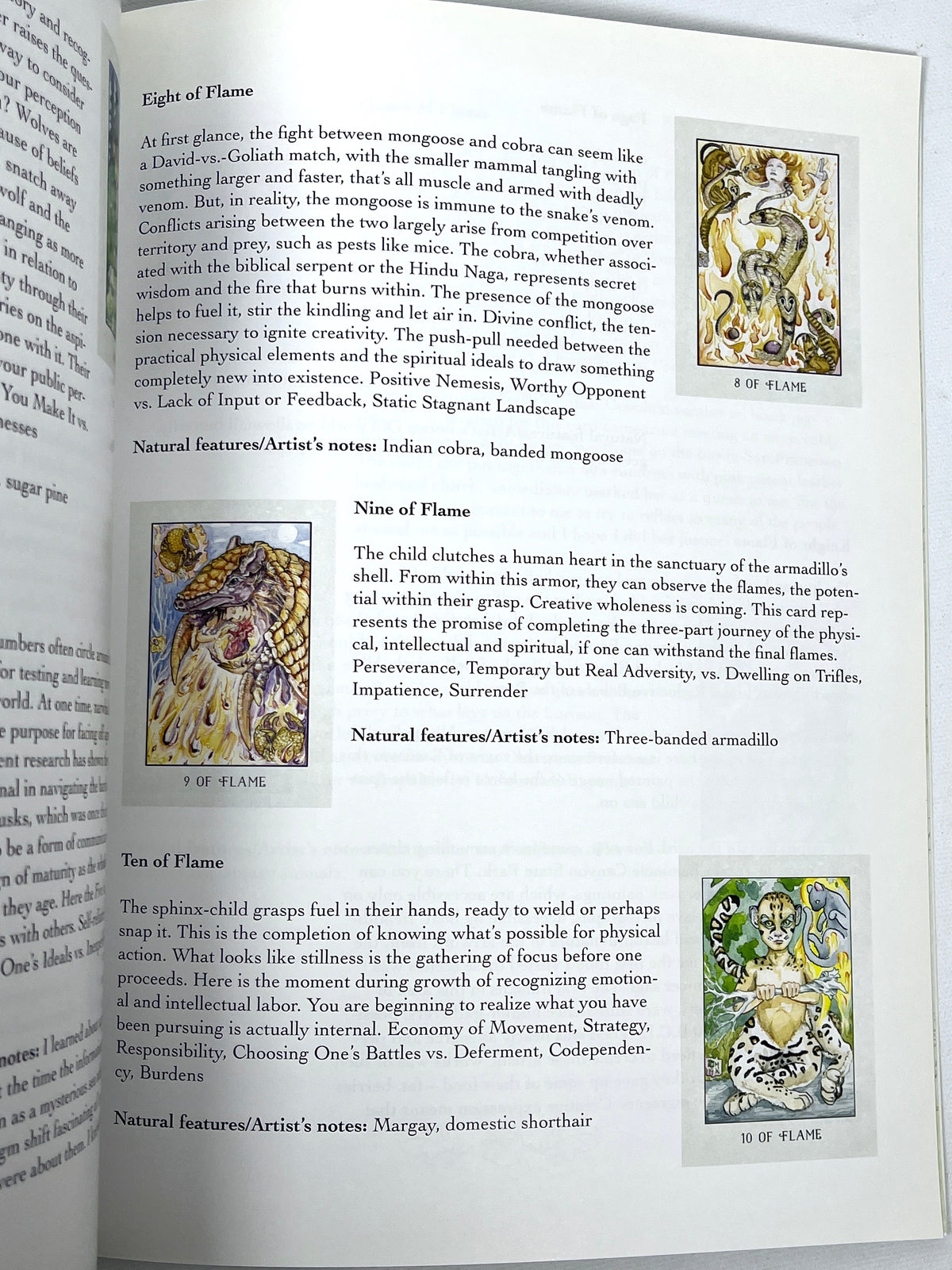 The Stolen Child Tarot, Monica L. Knighton, 2019, Near Fine SC book + Deck