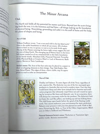 The Stolen Child Tarot, Monica L. Knighton, 2019, Near Fine SC book + Deck