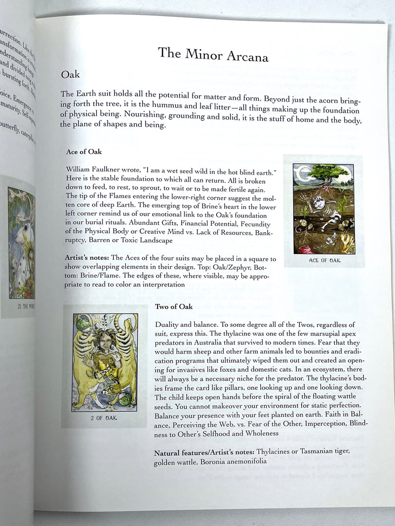 The Stolen Child Tarot, Monica L. Knighton, 2019, Near Fine SC book + Deck