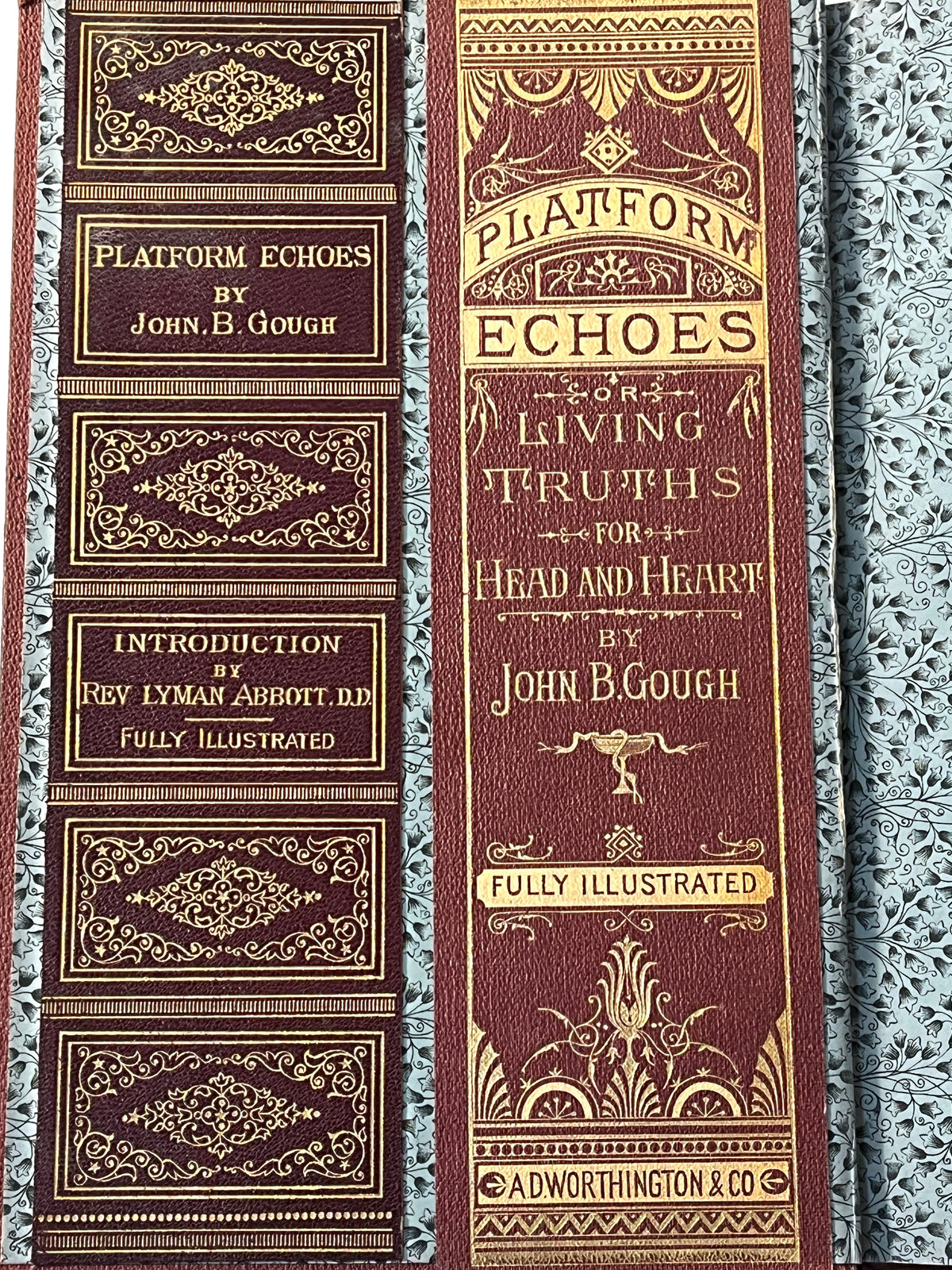 Platform Echoes, John B. Gough, 1885, Salesman's Copy, RARE, Very Good