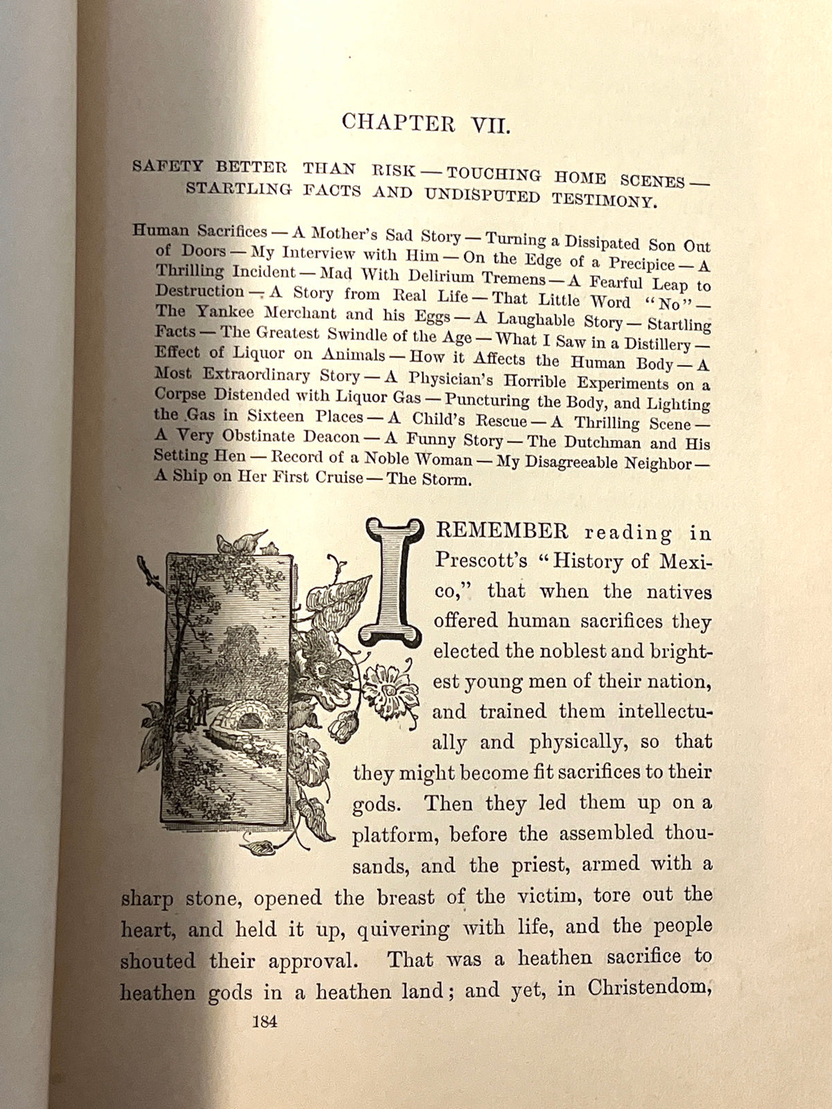 Platform Echoes, John B. Gough, 1885, Salesman's Copy, RARE, Very Good