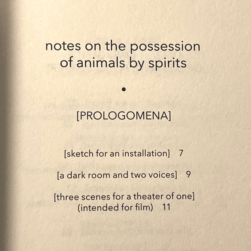 Daniel Rounds, Notes on the Possession of Animals by Spirits, Ad Lumen Press, 2023, SC, New