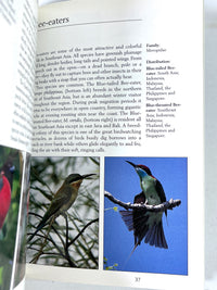 Tropical Birds of Indonesia, Periplus Nature Guides, 1998, Near Fine hardcover