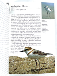 Tropical Birds of Indonesia, Periplus Nature Guides, 1998, Near Fine hardcover