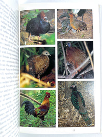 Tropical Birds of Indonesia, Periplus Nature Guides, 1998, Near Fine hardcover