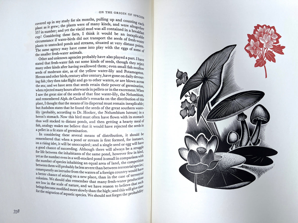 On the Origin of Species, Charles Darwin, Limited Editions Club, 1963, NF HC