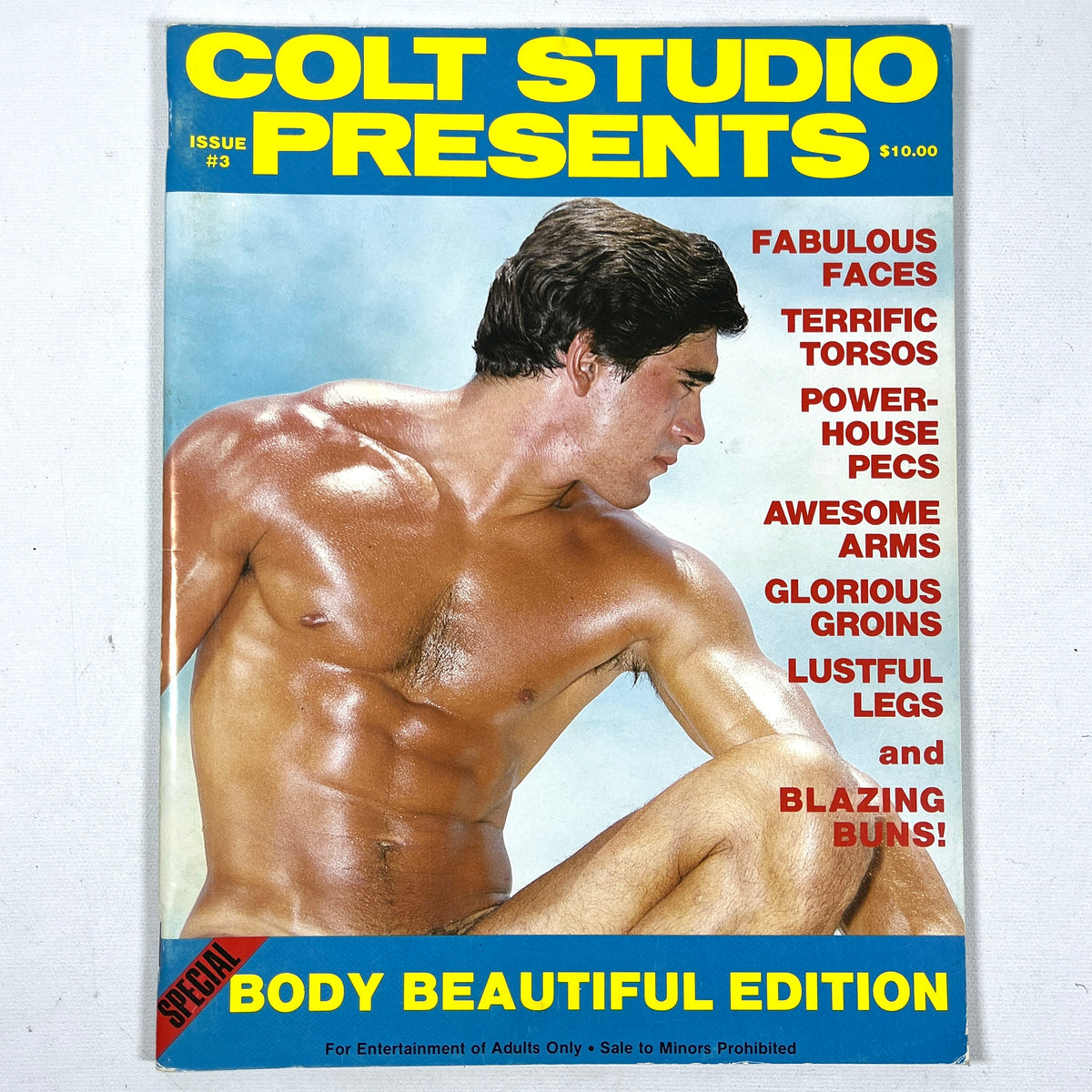Colt Studio Magazines, 1981-1990, Lot of 13, VG, RARE gay interest