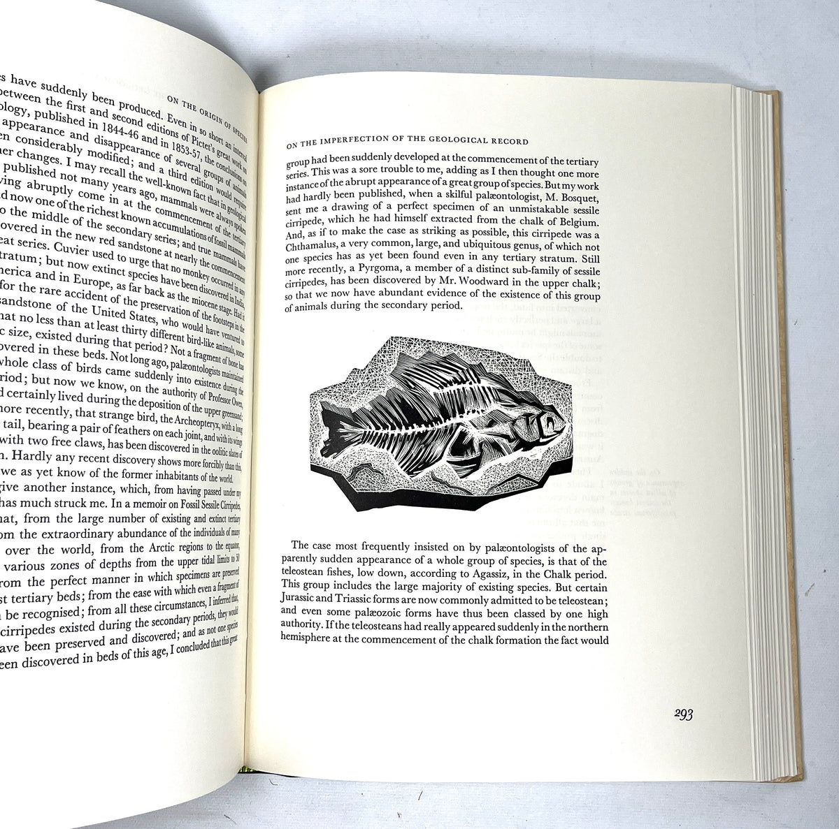 On the Origin of Species, Charles Darwin, Limited Editions Club, 1963, NF HC