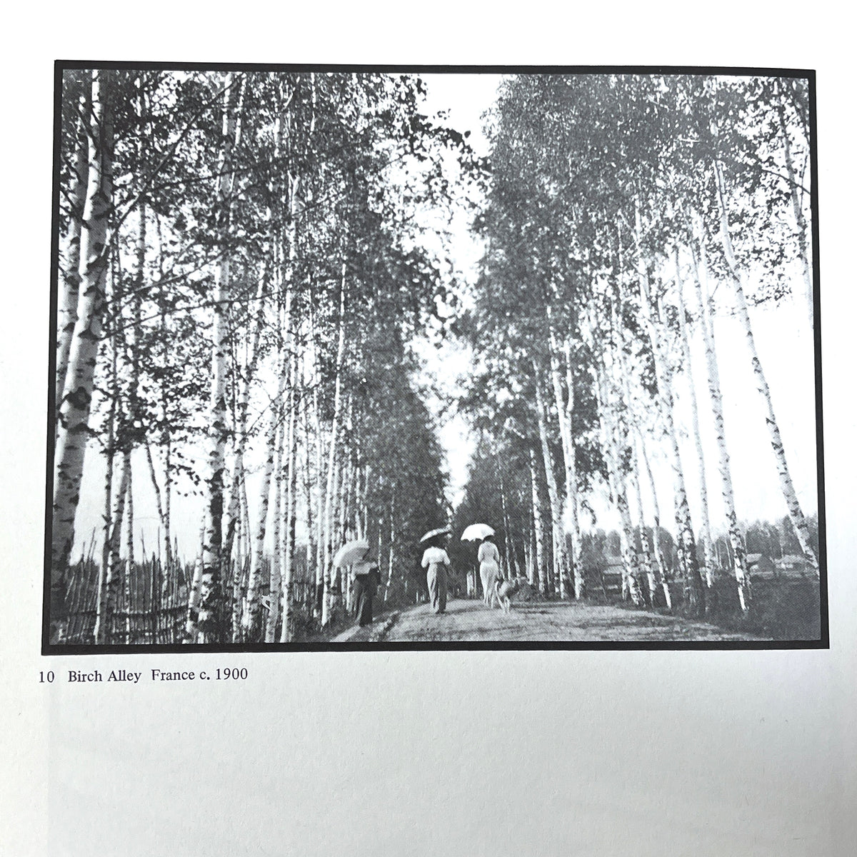 Graham Ovenden, Alphonse Mucha: Photographs, 1974, Near Fine hardcover w/dust jacket