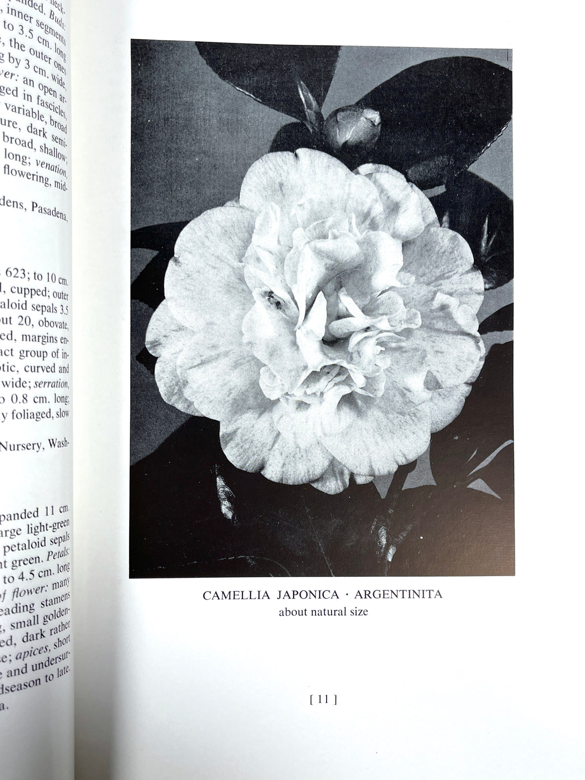 William Hertrich, Camellias in the Huntington Gardens, 3 Vols, 1954-59, Very Good hardcover