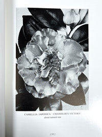 William Hertrich, Camellias in the Huntington Gardens, 3 Vols, 1954-59, Very Good hardcover