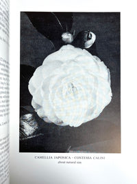William Hertrich, Camellias in the Huntington Gardens, 3 Vols, 1954-59, Very Good hardcover