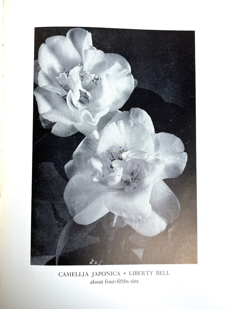 William Hertrich, Camellias in the Huntington Gardens, 3 Vols, 1954-59, Very Good hardcover