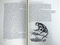 The Descent of Man, Charles Darwin, Fritz Kredel, 1971 Limited Editions Club, NF HC
