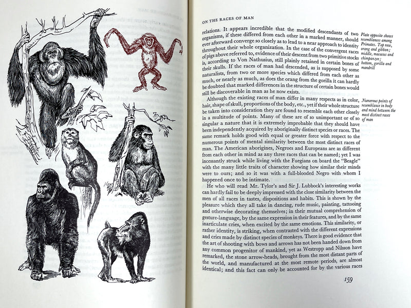 The Descent of Man, Charles Darwin, Fritz Kredel, 1971 Limited Editions Club, NF HC
