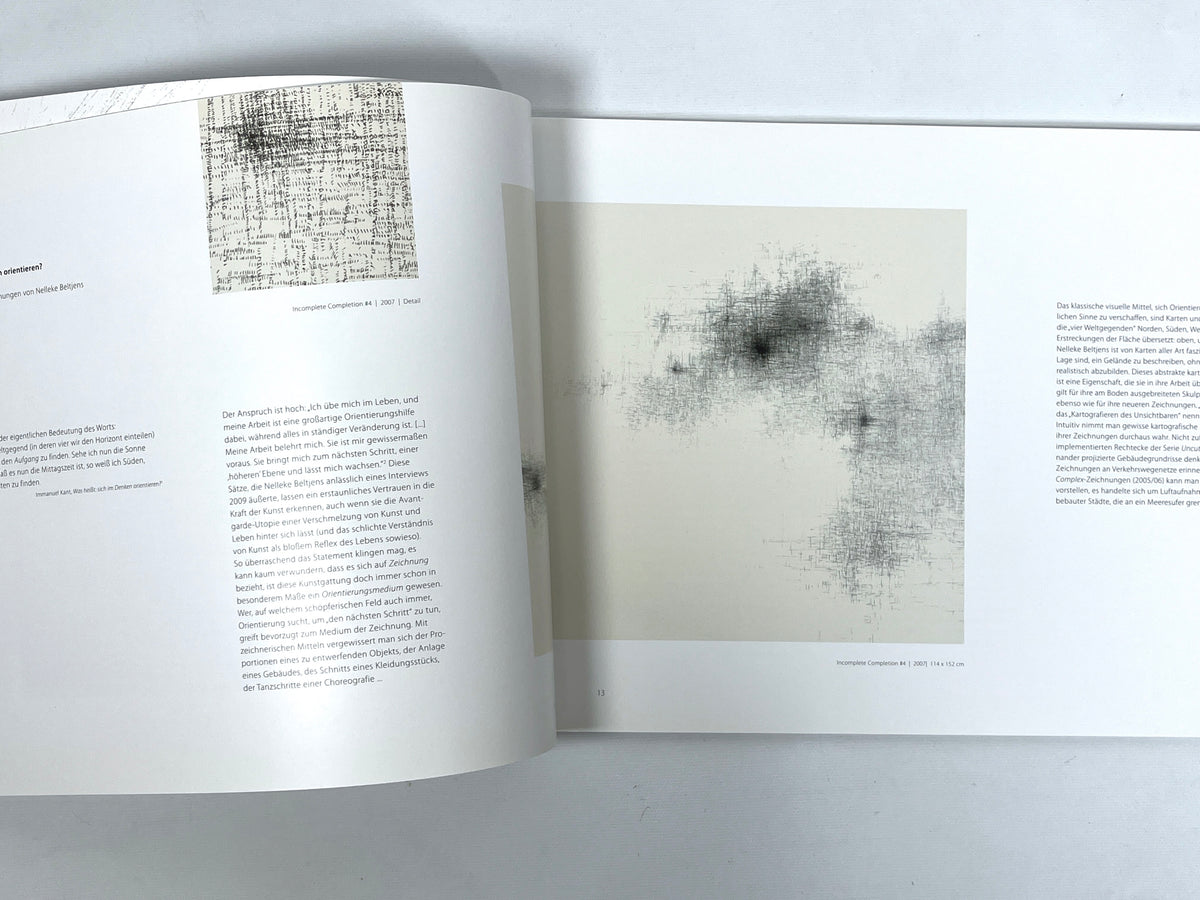 Nelleke Beltjens, Immense, Global Art Affairs Publishing, 2010, Very Good softcover catalog.