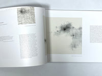 Nelleke Beltjens, Immense, Global Art Affairs Publishing, 2010, Very Good softcover catalog.