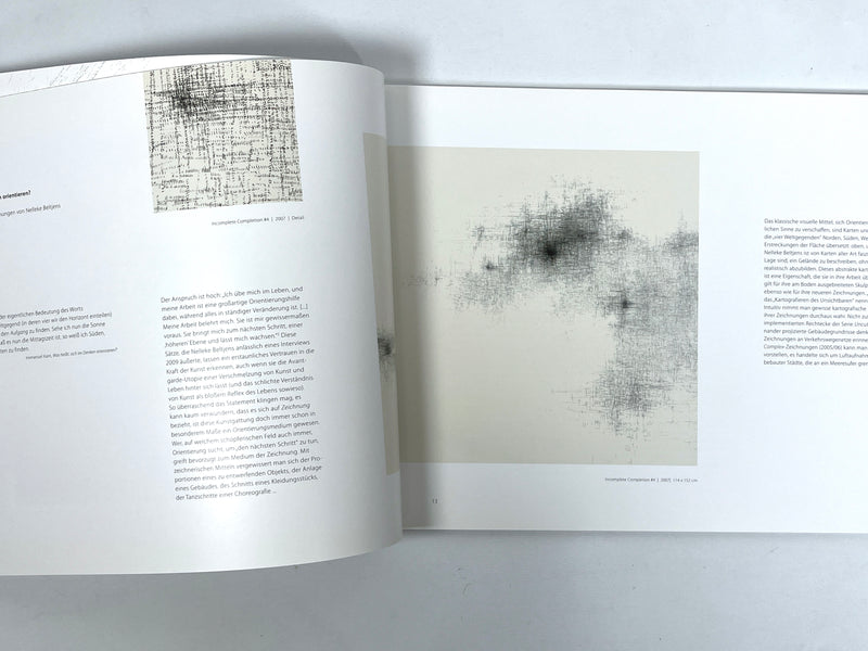 Nelleke Beltjens, Immense, Global Art Affairs Publishing, 2010, Very Good softcover catalog.