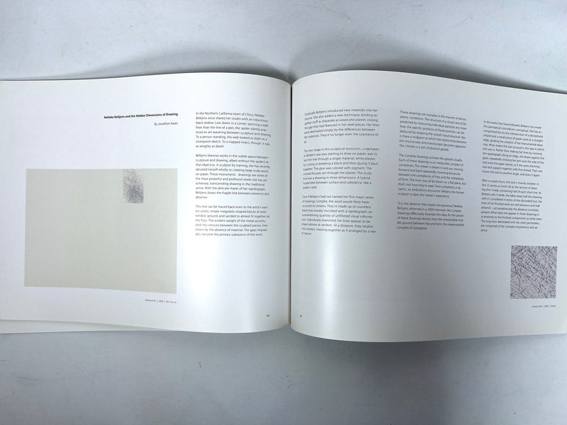 Nelleke Beltjens, Immense, Global Art Affairs Publishing, 2010, Very Good softcover catalog.