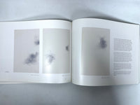 Nelleke Beltjens, Immense, Global Art Affairs Publishing, 2010, Very Good softcover catalog.