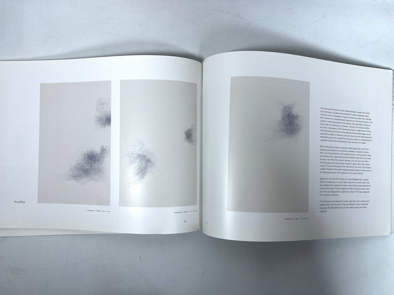 Nelleke Beltjens, Immense, Global Art Affairs Publishing, 2010, Very Good softcover catalog.